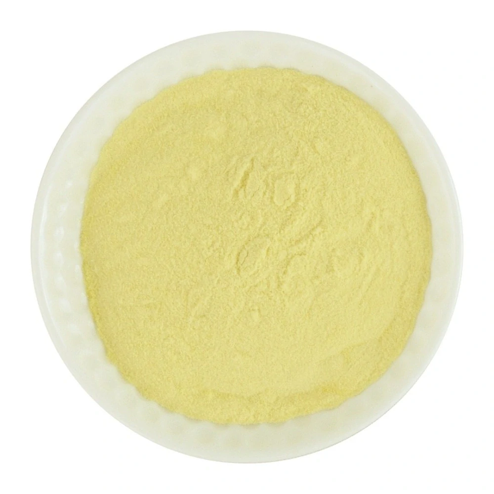 Mango - ovocný prášek 50g