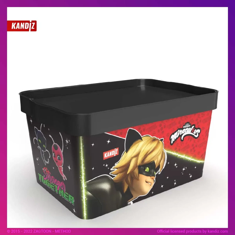 Kouzelná Beruška Kandiz box 162g