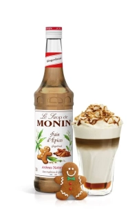 Monin Perník/gingerbread 0,7l