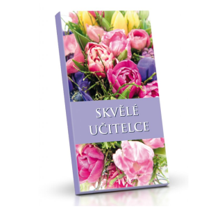 Mléčná čokoláda 50g Skvělé učitelce